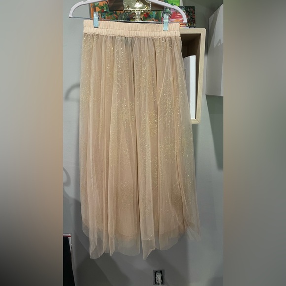 Forever 21 Glittered Sheer Mesh Skirt - Picture 3 of 5